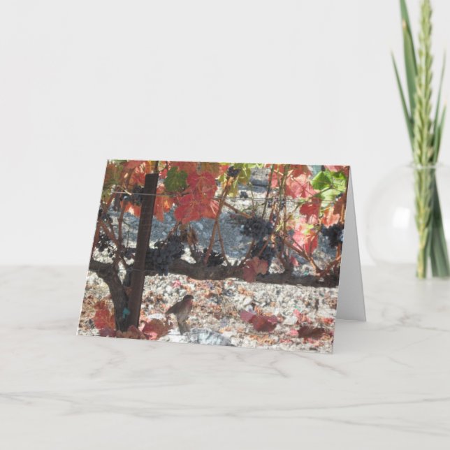 Carte d'action de grâce : Colibri dans le vignoble (Devant)