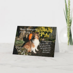 Carte d'action de grâce de Sheltie Funny