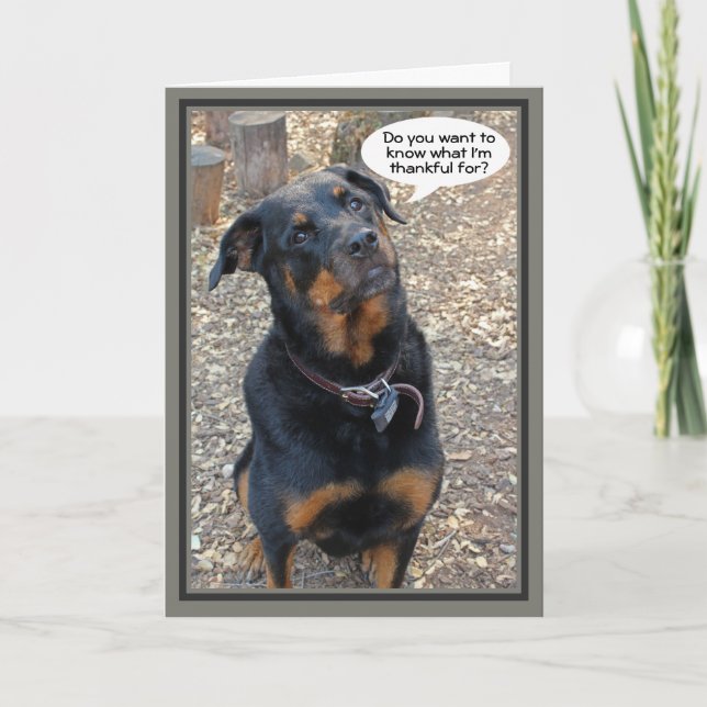 Carte d'action de grâce Rottweiler (Devant)