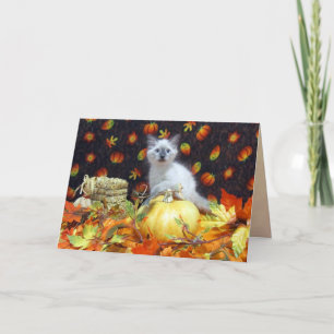 Carte d'action de grâces de Savannah (Chat / Chato