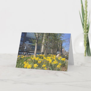Carte Daffodiles de printemps Columbus Circle New York C