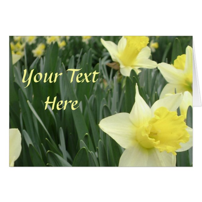 Carte Daffodique (Devant horizontal)