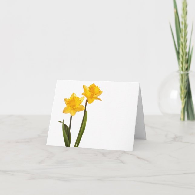 Carte Daffodiques jaunes sur blanc - Lavette de jonquill (Devant)