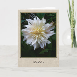 Carte Dahlia - Floral Series
