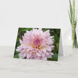 Carte Dahlia rose