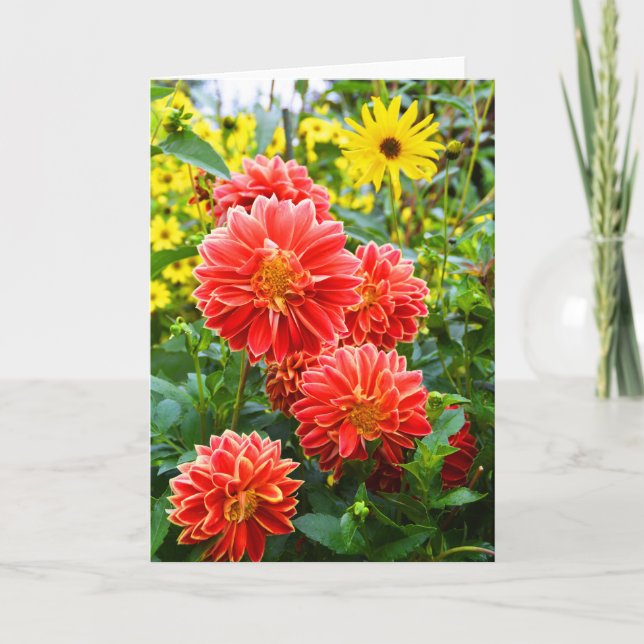 Carte Dahlia rouges (Devant)