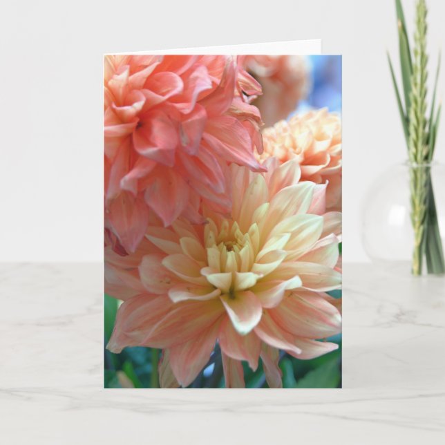 Carte dahlias orange-clair 2 (Devant)
