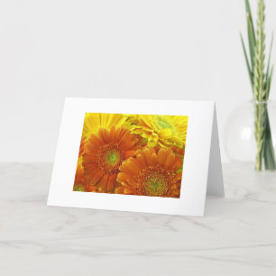 Carte "Dahlias rouge et jaune et orange"