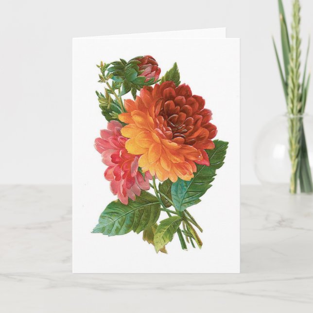 Carte Dahlias vintages, (Devant)