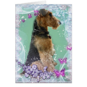 Carte d'Airedale Terrier