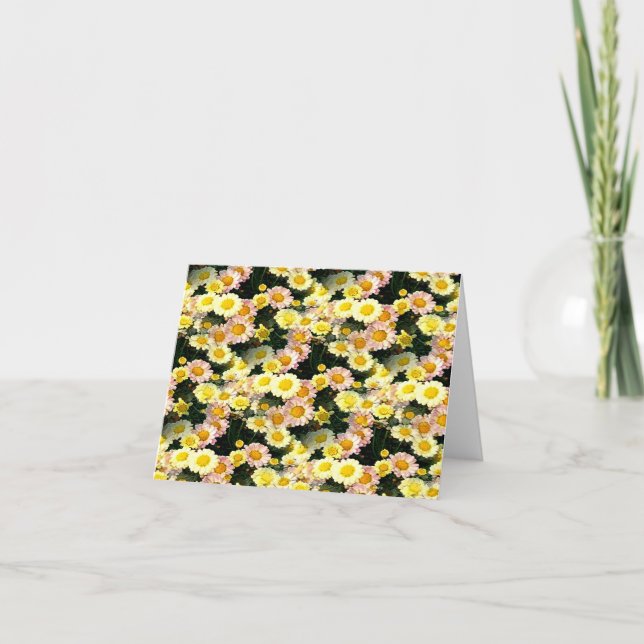 Carte Daisies Galore...... (Devant)