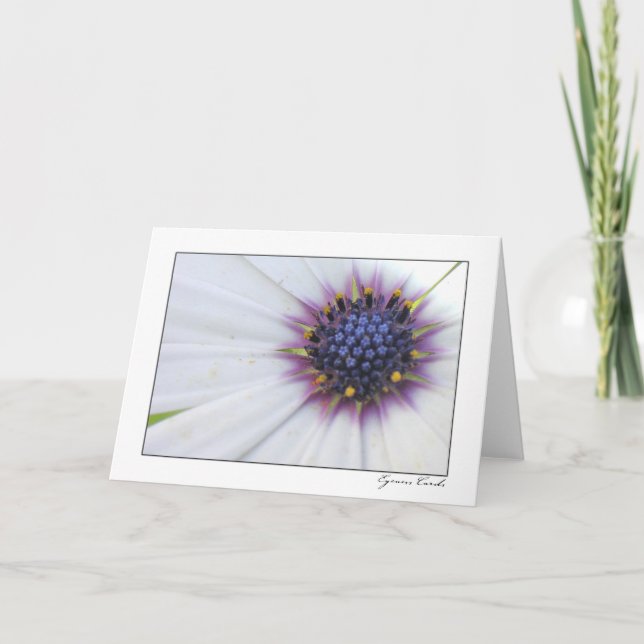 Carte Daisy (Devant)
