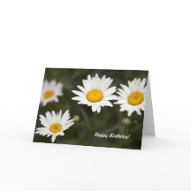 Daisy Daisy