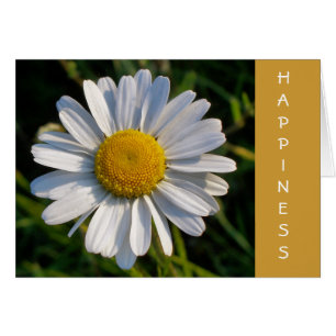 Carte DAISY HAPPINESS