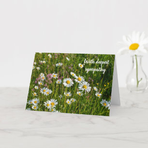 Carte Daisy Meadows - Avec mes plus sincères condoléance