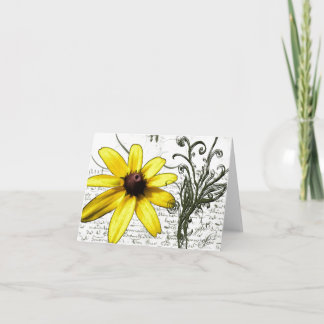 Carte Daisy on a Hot Summer