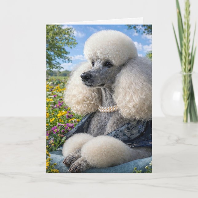 Carte Daisy The Poodle Blank Card (Devant)