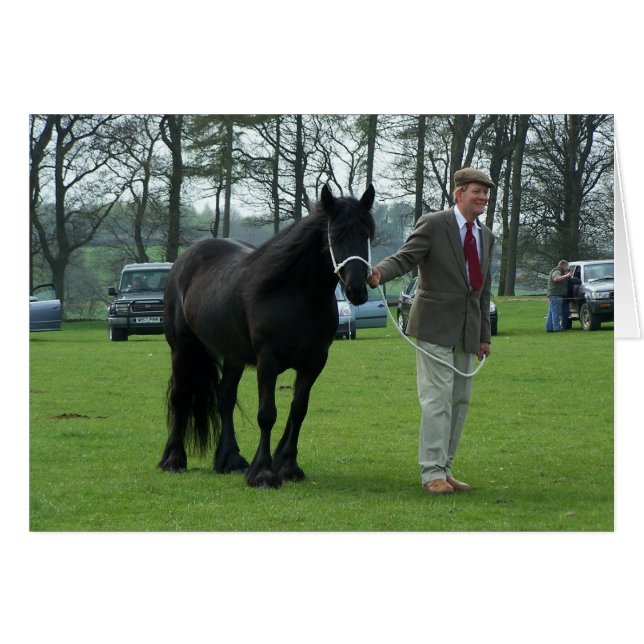 Carte Dales Pony (Devant Horizontal)