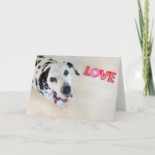 Carte dalmatienne de Valentines d'amour (Devant)