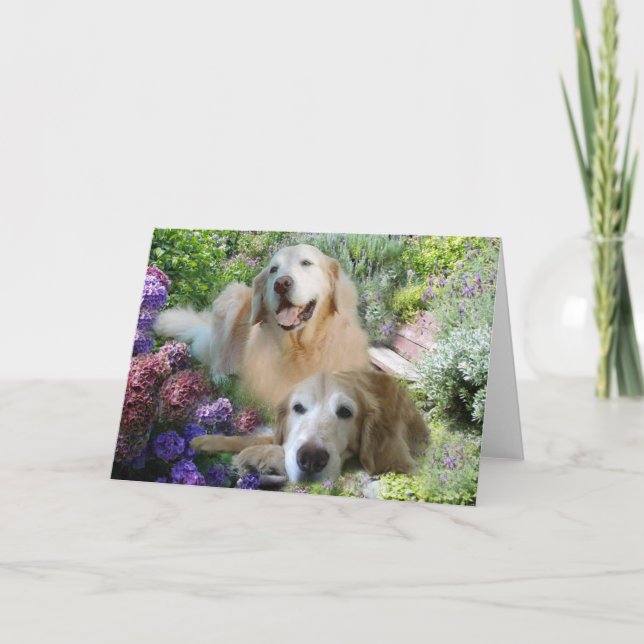 Carte d'amis Golden Retriever (Devant)
