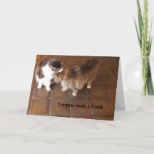 Carte d'amitié, chats d'établissement vinicole de