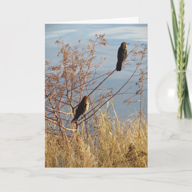Carte d'amitié - Oiseaux Jardins - Grackles (Devant)