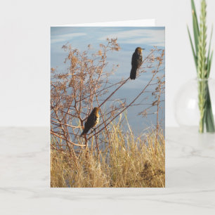 Carte d'amitié - Oiseaux Jardins - Grackles