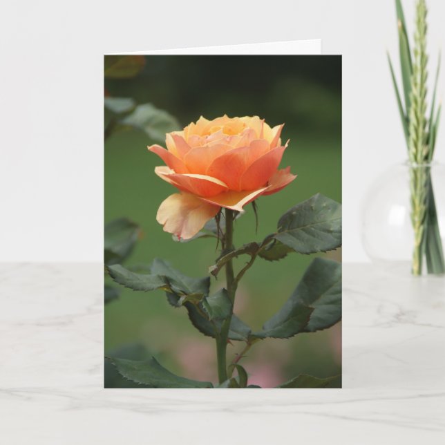 carte d'amitié rose pêche (Devant)