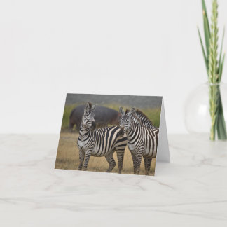 Carte d'amitié Zebra