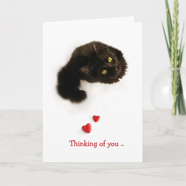 Carte d'amour de chat Pensant à toi (Devant)