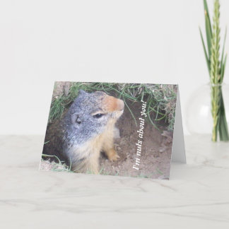 Carte d'amour de marmotte