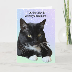 Carte d'Amoureux des chats