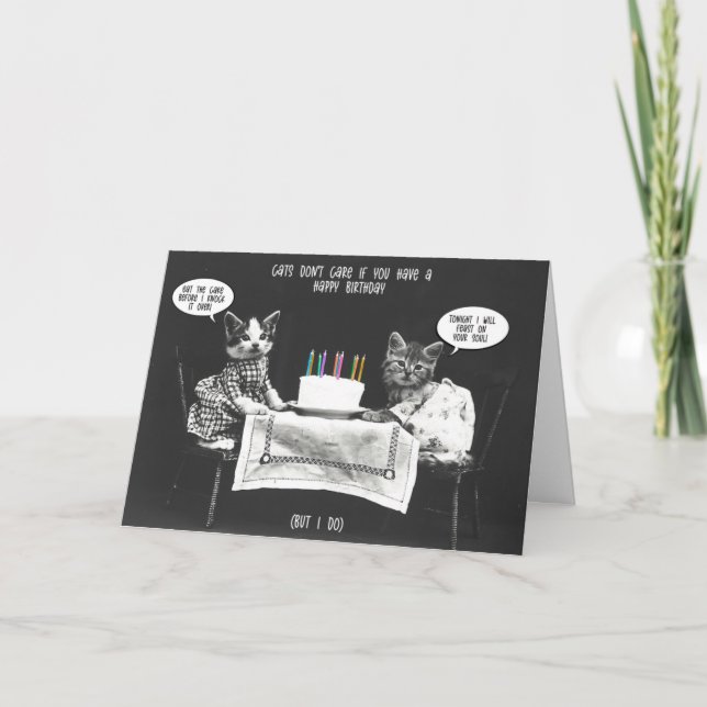Carte d'Amoureux des chats amusant (Devant)