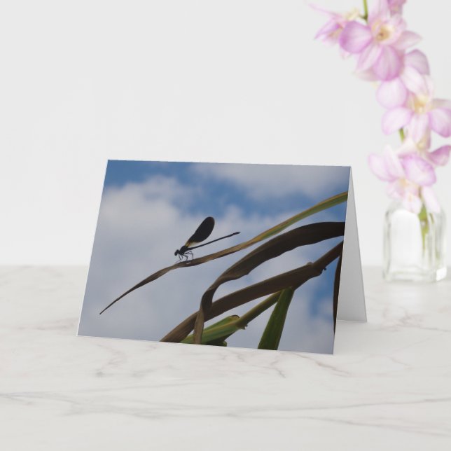 Carte Damselfly dans Blue Sky Card (Orchidée)