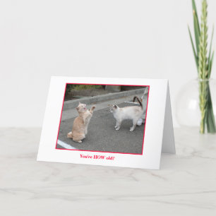 Carte d'anniversaire