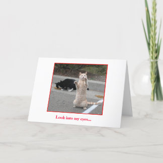 Carte d'anniversaire