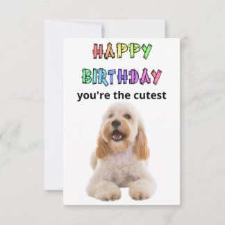 carte d'anniversaire