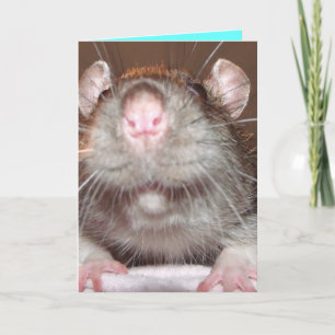 carte d'anniversaire