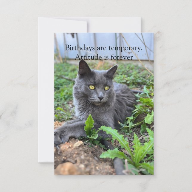 carte d'anniversaire (Devant)