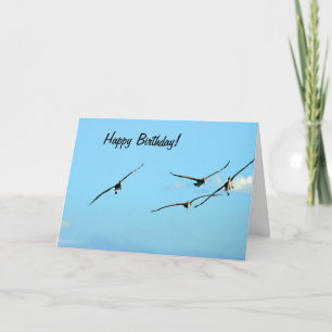 Carte d'anniversaire 1 pélican