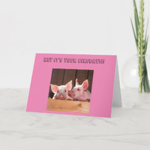 Carte d'anniversaire à deux porcelets