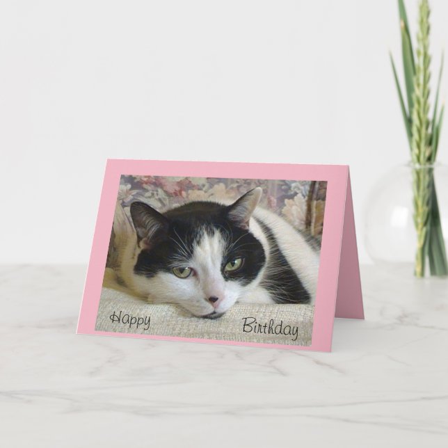 Carte d'anniversaire Adorable Chat Noir et Blanc (Devant)