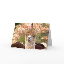 Carte d'anniversaire Alpaca Belle