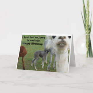Carte d'anniversaire Alpaca - Nature interrompue