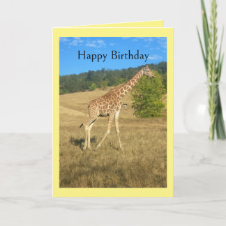 Carte d'anniversaire amusante