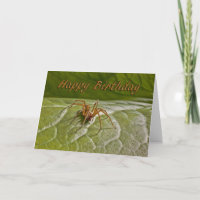 Carte d'anniversaire amusante