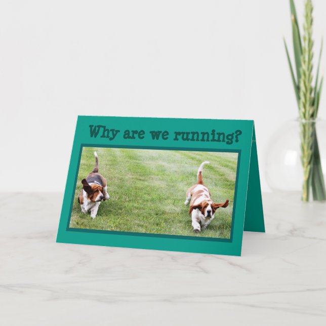 Carte d'anniversaire amusante avec Basset Hounds & (Devant)