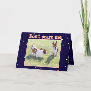 Carte d'anniversaire amusante avec Cute Basset Hou