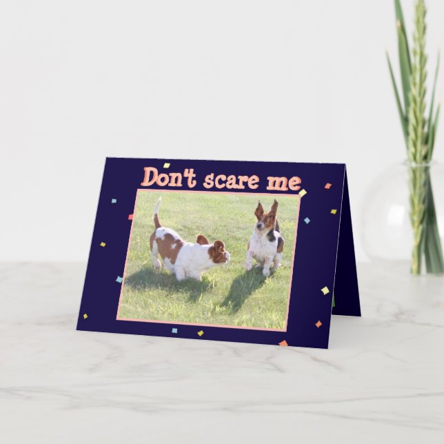 Carte d'anniversaire amusante avec Cute Basset Hou (Devant)