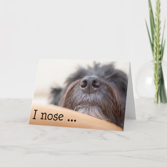 Carte d'anniversaire amusante - Le nez du chien (Devant)